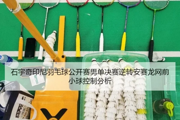 shi-yu-qi-yin-ni-yu-mao-qiu-gong-kai-sai-nan-dan-jue-sai-ni-zhuan-an-sai-long-wang-qian-xiao-qiu-kong-zhi-fen-xi-2-651.jpg